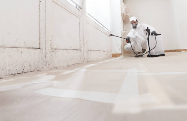 24/7 Emergency Mold Remediation experts in Somerville, TN
